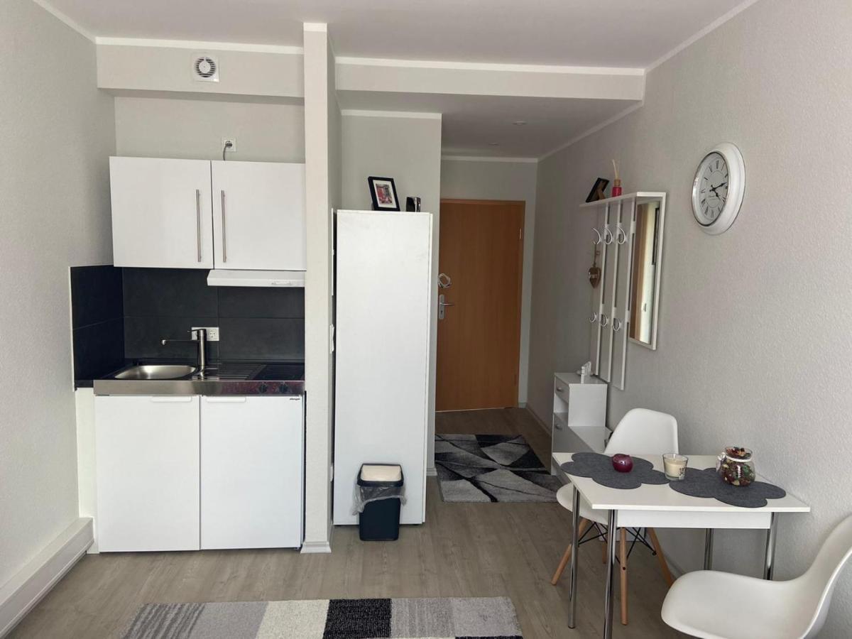 Business Duo Apartment Mainz